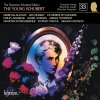 Stephen Varcoe、Graham Johnson - Franz Schubert: Lebenstraum 'Gesang in c' D1a: Ich sass an einer Tempelhalle