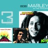 The Wailers、Bob Marley & The Wailers - Coming In From The Cold