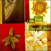 Gipsy Kings - Un Amor