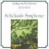 Radio Sinfonie Orchester Ljubljana、Anton Nanut《Symphonie Nr. 5 C-Moll op. 67《Allegro con brio》[MP3/LRC]