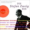 Stefan Zweig - Die Stefan Zweig Box: Brennendes Geheimnis, Kapitel 2