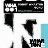 sonny wharton《Boru (Original Mix)》[MP3/LRC]