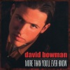 David Bowman - More Than You'll Ever Know