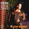 Pepe Aguilar - Cautiva Y Triste