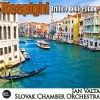 Slovak Chamber Orchestra、Jan Valta - Allegro vivace