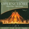 Chor der Staatsoper Wien、Orchester der Volksoper Wien、Franz Bauer-Theussl - Friedrich Smetana: Die verkaufte Braut - Welch Gottesgabe ist das Bier (Bierchor)