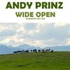 Andy Prinz - Wide Open (Radio Edit)