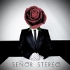 Señor Stereo、danny daze - Unintentional (Feat. Danny Daze)