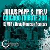 Julius Papp & Deep Culture、Mr. V《Chicago Tribute (DJ MFR Deep Mix)》[MP3/LRC]