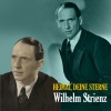 Wilhelm Strienz - Abends In Der Taverne