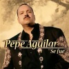 Pepe Aguilar - Se Fue
