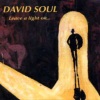 david soul - I drink