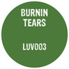 Burnin Tears - Got A Reason
