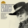 Sleepy LaBeef - Too Much Monkey Business