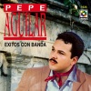 Pepe Aguilar - Mi Cruz De Dolor