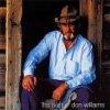 Don Williams - I've Been Loved By the Best (Remastered)