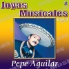 Pepe Aguilar《Cautiva Y Triste》[MP3/LRC]