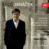 Tomáš Netopil - Sinfonietta: Allegretto