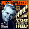 wayne walker - All I Can Do Is Cry