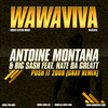 Antoine Montana、Big Sash、Nate Da Greatt - Push It (DJ Gray Remix|Explicit)