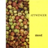 Attwenger - Abersee