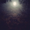 Josh Mason、David Andree - (In)