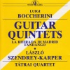 Tátrai Quartet、Laszlo Szendrey-Karper《Guitar Quintet No. 4 in D Major, G. 448: I. Allegro maestoso》[MP3/LRC]