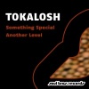 Tokalosh《Something Special》[MP3/LRC]