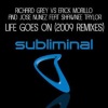 Richard Grey - Life Goes On 2009