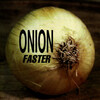 onion - All Falls Apart
