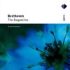 Rudolf Buchbinder - Andante grazioso quasi Allegretto