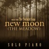 Larry Hall - New Moon (The Meadow from The Twilight Saga New Moon)