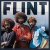 flint - You Got It All Wrong