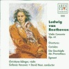 David Heer、christiane edinger、Sinfonia Varsovia、Ludwig van Beethoven - I. Allegro ma non troppo