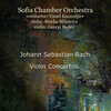 Sofia Chamber Orchestra、Vassil Kazandjiev、Georgi Badev、Stoyka Milanova - 1. Allegro moderato