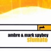 Ambre、Mark Spybey - Citadelle Interieure
