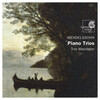 Trio Wanderer - Piano Trio No. 1 in D minor, Op. 49: I. Molto Allegro agitato