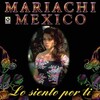 Mariachi Mexico - Lo Siento Por Ti