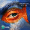 Ryan Sullivan - Lucky Fish (Oirignal Mix)