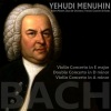 Yehudi Menuhin、Festival Chamber Orchestra、Robert Chamber Orchestra - I. Allegro