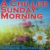 Sunshine Superstars - Ain't No Sunshine