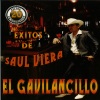 Saul Viera el Gavilancillo《Corrido del Sapo》[MP3/LRC]