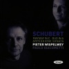 Pieter Wispelwey、Paolo Giacometti - Duo in A for Cello and Piano, D 574: I. Allegro moderato