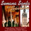 Pastora De Córdoba - Semana Santa en Sevilla