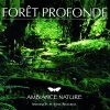 Ambiance Nature、In The Air - Oiseaux et abeilles