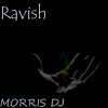 Morris DJ - Entranced