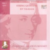 Libor Pešek、Capella Istropolitana - III. Adagio ma non troppo