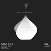 Matico - Appearance