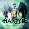Harpyie - Antarktika