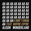Alison Wonderland、Wayne Coyne、Daktyl - U Don't Know (Daktyl Remix)